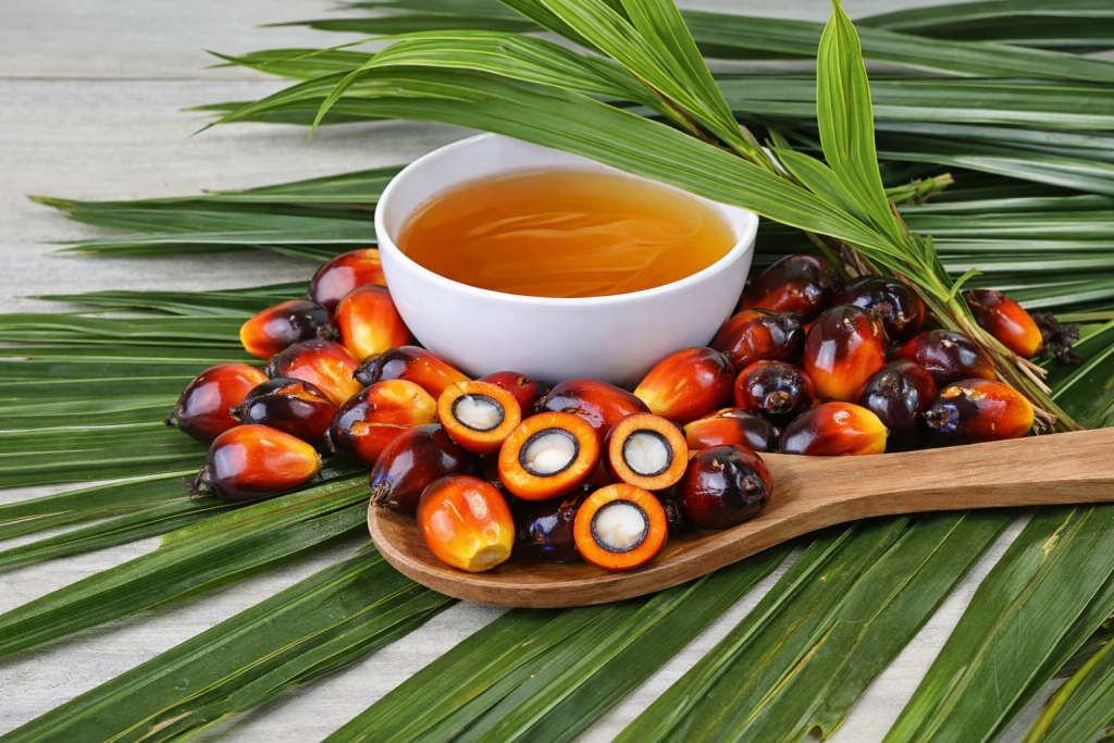 Recipiente con aceite de palama, sobre cucharon de madera con semillas de palama