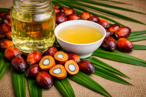 Semillas de aceite de palma con un recipiente de aceite liquido y un contenedor de aceite
