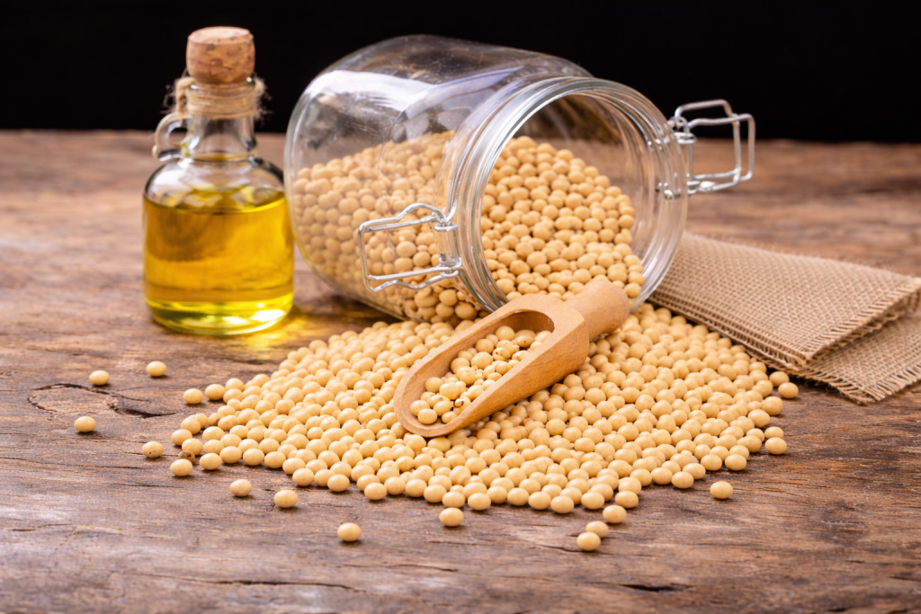 Frasco con semillas de soja al frente de botella de aceite de soja