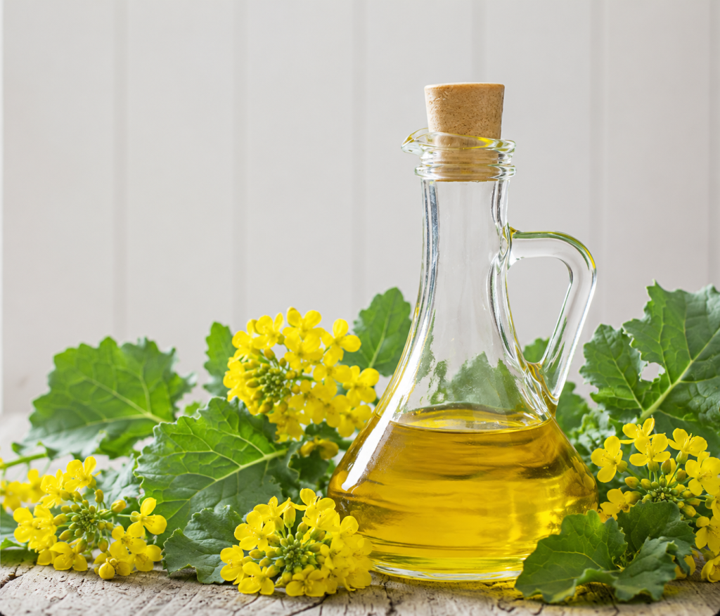Frasco de aceite de canola con hojas de canola al rededor sobre una mesa de madera