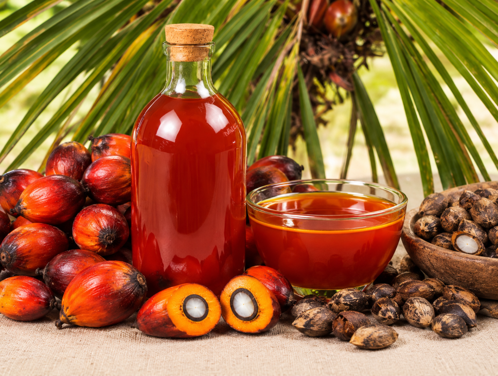 Bodegón tropical de aceite de palma